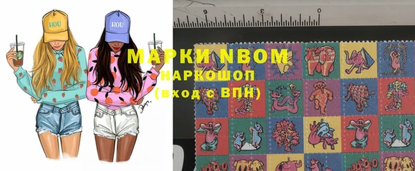 PSILOCYBIN Алзамай