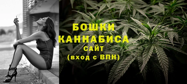 PSILOCYBIN Алзамай