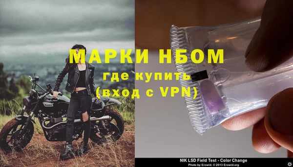 PSILOCYBIN Алзамай