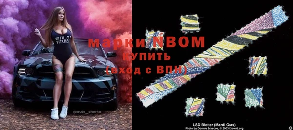 PSILOCYBIN Алзамай