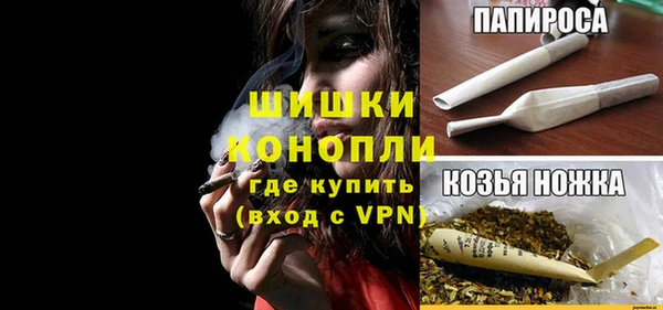 PSILOCYBIN Алзамай