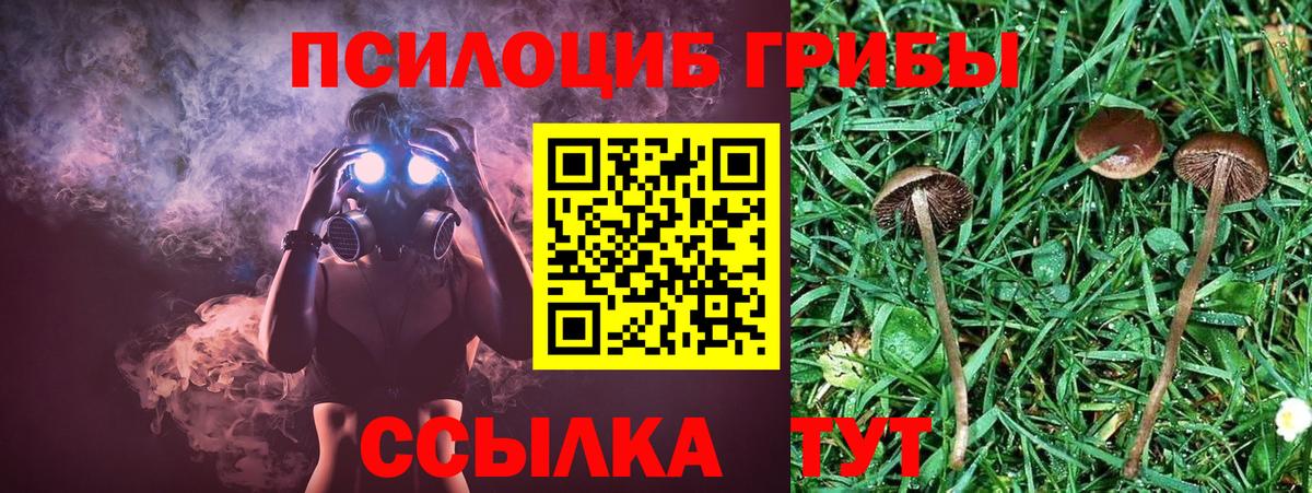 Галлюциногенные грибы MAGIC MUSHROOMS  Вход с VPN  Псилоцибиновые грибы прущие грибы  как найти закладки  Люберцы 