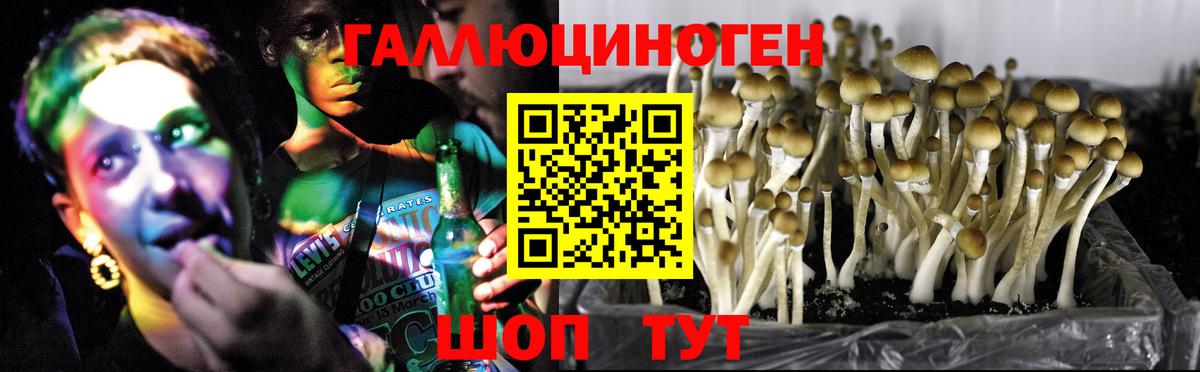 Галлюциногенные грибы мухоморы Люберцы